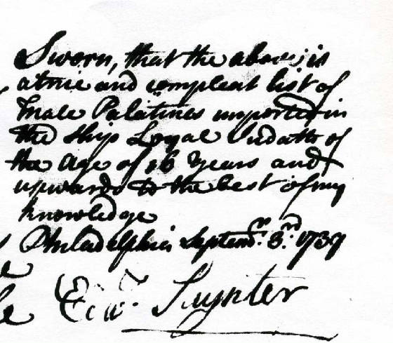 file1152.jpg