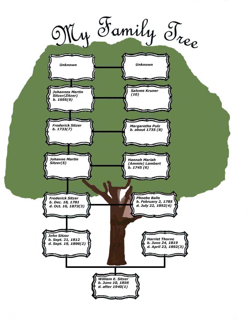 familytreesitzer.jpg