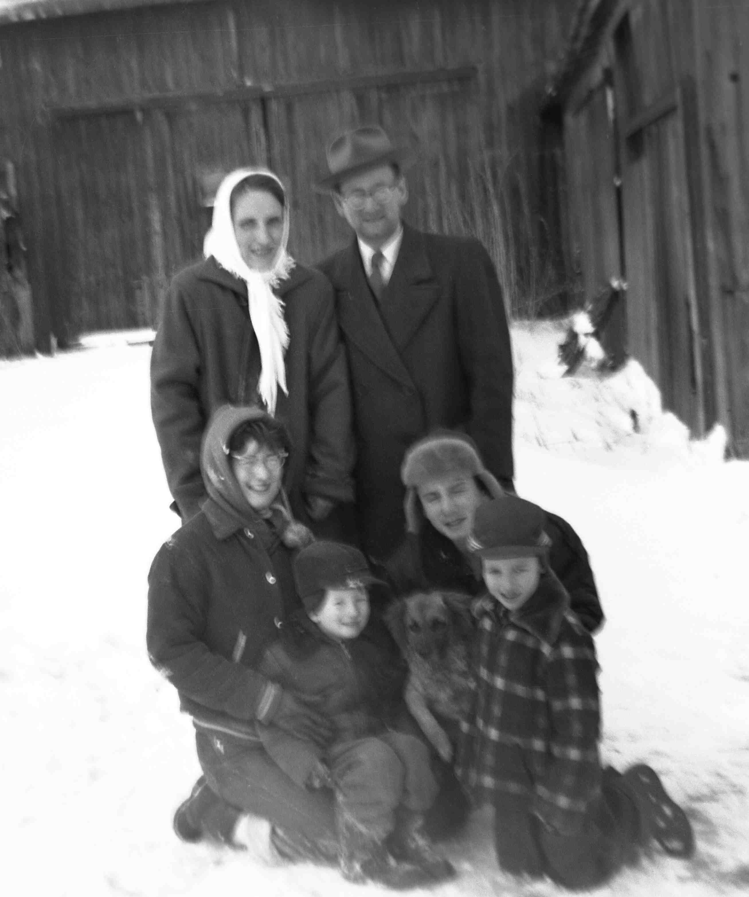 img446.jpg